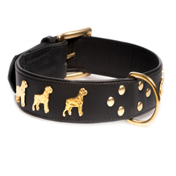 Luxury dog collar in gold colour